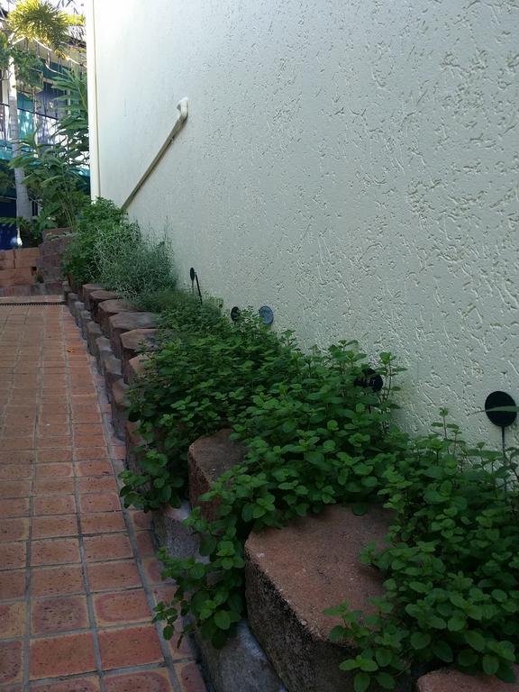 Reef Lodge Backpackers Townsville Luaran gambar
